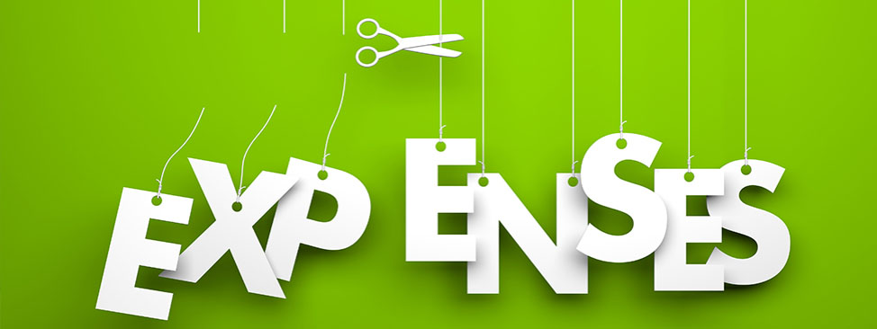 Business expenses to cut down